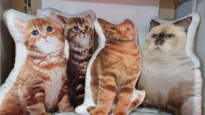 Don't have time for a pet? Got allergies? Now you can live the sofa dream with these endearing cushions. (They don't bring in unidentified small mammal body parts to your house, either).